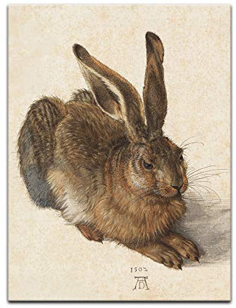 Bilderdepot24 Bild auf Leinwand | Albrecht Dürer Feldhase in 30x40 cm als Wandbild | Wand-deko Dekoration Wohnung alte Meister | NEU-180200-30x40-f