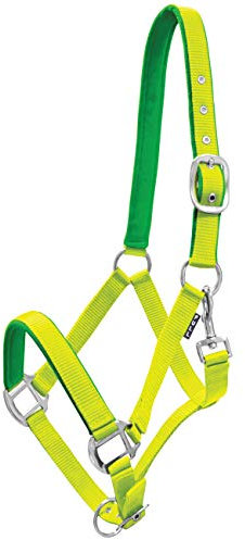 York Pferde Halfter Milo Nylonhalfter weiche Polsterung Stallhalfter Weidehalfter Reithalfter (Pony, limettengelb)