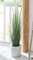 Dekoleidenschaft Topfpflanze Steppenkerze 90 cm hoch, Kunstpflanze, Ziergras mit großen, realistischen Blüten, Dekopflanze, Dekogras für Wohnzimmer, Schlafzimmer oder Büro, Gräserbüschel, Kunstgras