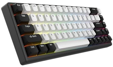 ARBITER Polar 65 - CNC Mechanical Gaming Keyboard - Magnetic Salon Effect Switches, CNC Aluminum Frame, Fast Trigger, 65% Compact, Bright RGB, Double Shot PBT Keycaps -