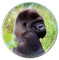 Deluxebase Magnidome Gorilla Kühlschrankmagnet aus Kristallglas für Kinder, tolle gewölbte Magnete für Heimdekorationen und Zubehör