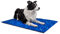 TrendPet Arctic Comfort - 20mm Premium Kühlmatte für Hunde, Hundekühlmatte, selbstkühlende Matte für Haustiere, 5 Größen, Extra dick (75x55cm)