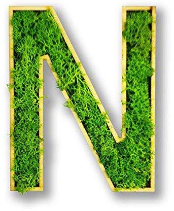 Moosly® Moosbild - N - mit Rahmen aus Holz, Moos Deko Buchstaben Zeichen Symbol Zahl Holzbuchstabe mit echtem Islandmoos Wandtattoo Wandsticker Wandbild selbstklebend Wohnzimmer (115 N)