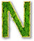 Moosly® Moosbild - N - mit Rahmen aus Holz, Moos Deko Buchstaben Zeichen Symbol Zahl Holzbuchstabe mit echtem Islandmoos Wandtattoo Wandsticker Wandbild selbstklebend Wohnzimmer (115 N)