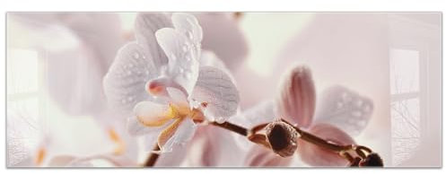 timalo Küchenbild aus Acrylglas modernes Wandbild Glasbild Deko Küche XXL Bild wie Glas | 140x50cm Orchidee, Blüten Makro, zarte Pastellfarben, elegante Blume, Naturmotiv, Wellness