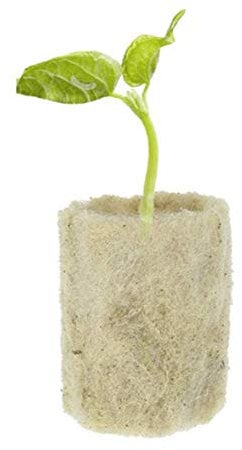 Hilai Rockwool Starter Plugs, Rockwool Cube Propagation Hydroponic Block Vegetables Cylindrical Seedling Greenhouses Cultivation System Gardening Accessories 50pcs
