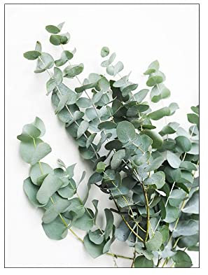 ABCWARRT Nordic City Landschaft Bogen Leinwand Malerei Eukalyptus Bild Blatt Poster Grüner Baum Und Auto Malerei Wandkunst Für Wohnkultur (50 * 70cm Kein Rahmen,9)