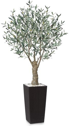 Fopamtri Olivier Artificiel 180 cm Plantes Artificielles Interieur avec Fruits, Fausse Plante Olivier en Marron Pot Protection UV pour Extérieur Maison Chambre Bureau Balcon Déco (1 Pièce)