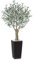 Fopamtri Olivier Artificiel 180 cm Plantes Artificielles Interieur avec Fruits, Fausse Plante Olivier en Marron Pot Protection UV pour Extérieur Maison Chambre Bureau Balcon Déco (1 Pièce)