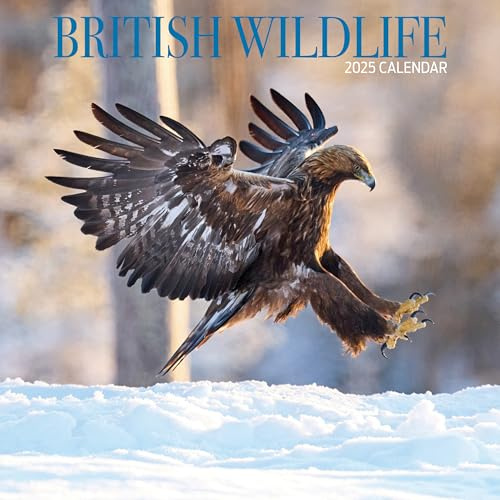 British Wildlife 2025 Calendar