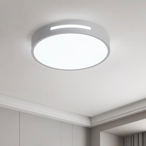 Kaniker 30cm LED Deckenleuchte Weiß, 24W Moderne zweifarbige Lampe aus Metall und Acryl, Runde Aufputzleuchte für Schlafzimmer, Küche, Bad, Flur