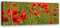 Feeby Wandbild Mohnblumen Druckbild Leinwandbild abstrakt Rot 120x40 cm