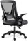 Blisswood Adjustable Office Chair, Desk Chair, Mesh Swivel Chair With 90° Flip-up Armrest Computer Chair With Lumbar Support Adjustable Height (Black)