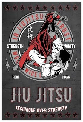Martial Arts Jiu Jitsu Bjj Ju Jutsu-Poster, Leinwand-Poster, Wandkunst, Dekordruck, Bild, Gemälde für Wohnzimmer, Schlafzimmer, Dekoration, ungerahmt: 30 x 45 cm