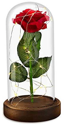 Rose Eternelle sous Cloche,La Belle et La Bête Rose Rose Éternelle sous Cloche Rose Enchantée Lumière LED avec Dôme en Verre Soie Rose pour Fête Mères Saint Valentin Anniversaire de Mariage