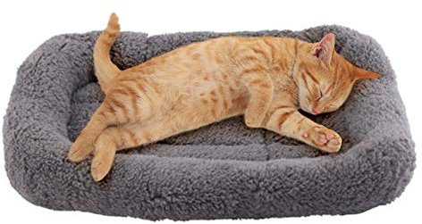 Enjoying Cat Mat Bed 26 x 38 cm Pet Bed with Pillow Around for Puppy Kitten Curled Sleeping Beds for Carrier/Crate Small Dog Cushion, Anti Skid Bottom, Small
