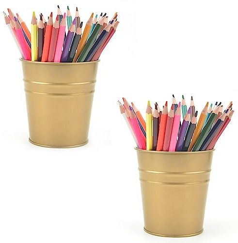 Pen Holder Cup For Desk Pencil Holder Metal Marker Pen Organizer Storage Small Tinplate Flower Pot Succulent Bucket Planters for Office Home - 2 Pack (Gold)