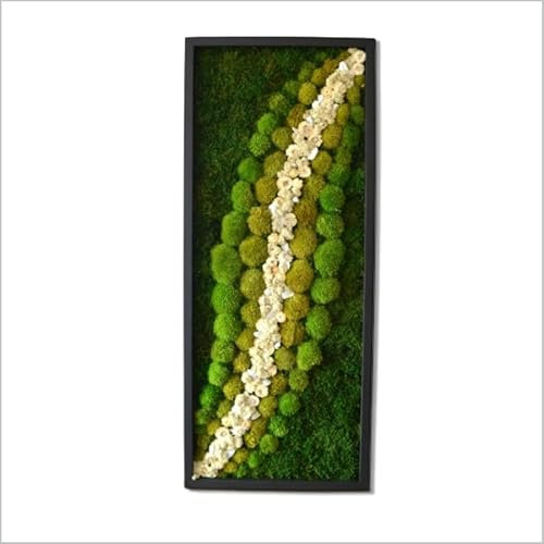 MossPerfect Moosbilder mit Rahmen – Mooswand Lebend White Forest Led-wandkunst Moosbild – Moosbilder – Bild Moos – Moss Bild Wand – Moosbilder – Pflanzenbilder – 120x40x4cm