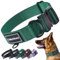 Robustes Hundehalsband für Große & Mittelgroße Hunde – Verstellbar, Doppellagiges Nylon, Metallschnalle, Reißfest & Ideal für Aktive Hunde (Grün, Groß (38-58 cm))