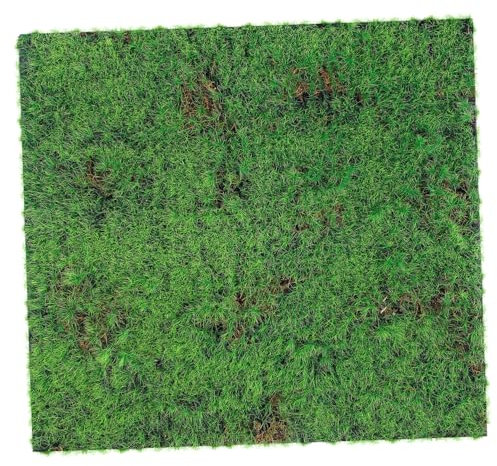 CANIGHT Synthetisches Moospolster 30 X 30 cm Kunstrasen Für Künstliche Gärten Landschaftsdekor