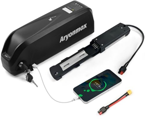Batteria Ebike 48V 20AH con Caricabatterie Piastra Base 4Pin e Cella Grado A, Batteria Litio Hailong Lunga Durata per Bici Elettrica Bicicletta