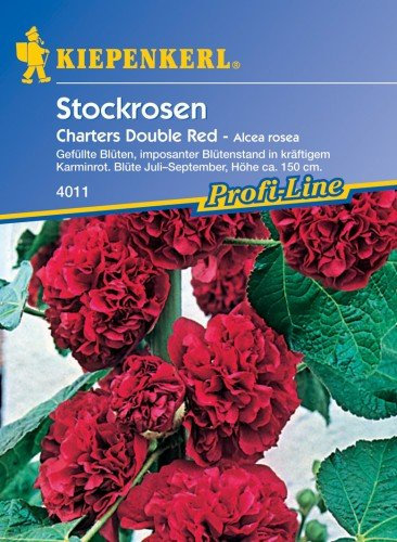 Stockrosen, 'Chaters Double Red'