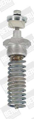 BorgWarner (BERU) GH010 - Glühkerze