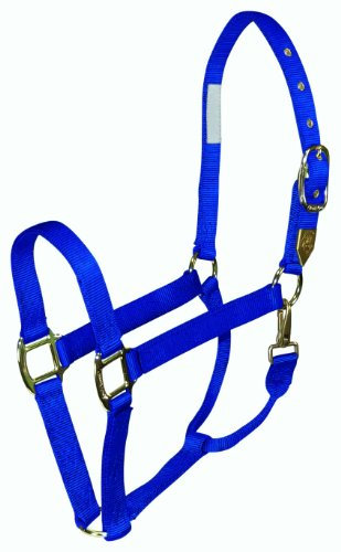 Hamilton Pferdehalfter, 2,5 cm, Nylon, mit Druckknopf am Hals