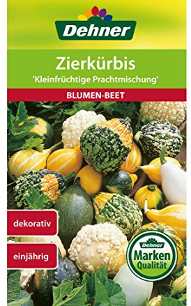 Dehner Blumen-Saatgut, Zierkürbis Kleinfrüchtige Prachtmischung, 5er Pack (5 x 2.5 g)