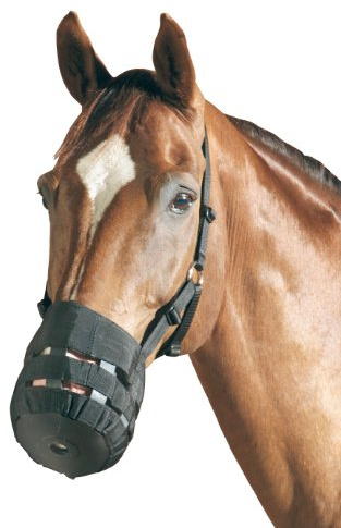 Maulkorb und/oder Fressbremse, schwarz Pony
