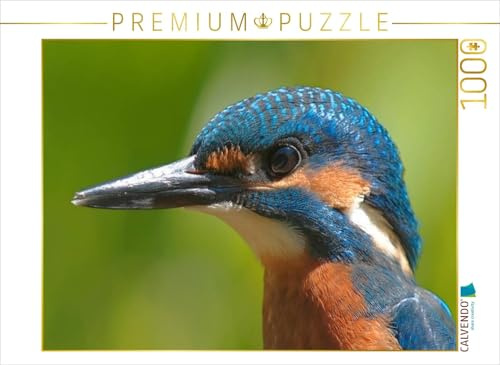 CALVENDO Puzzle EIN Motiv aus dem Kalender Europäische Rackenvögel | 1000 Teile Lege-Größe 64 x 48 cm Foto-Puzzle für glückliche Stunden