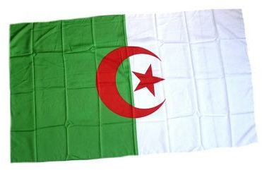 Fahne Stockflagge Algerien NEU 30 x 45 cm Flagge