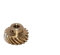 COMP Cams 420 1,2 cm Schaft Durchmesser Bronze Distributor Gear für kleine Block Chrysler
