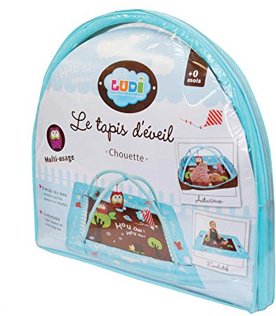 Ludi - Aire D'Éveil « Chouette » - 4 Tubes Gonflables, Tapis Confortable, 2 Arches Amovible & Activités Sensorielles - Dès La Naissance - Développe La Motricité & La Dextérité - 110 x 110 x 48 cm