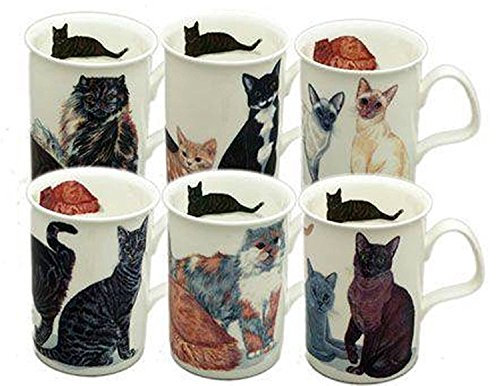 Roy Kirkham Cat Lover Mug Set of 6 Bone China Mugs from England