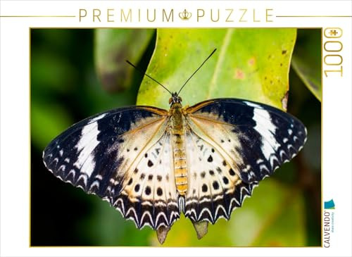CALVENDO Puzzle Cethosia cyane | 1000 Teile Lege-Größe 64 x 48 cm Foto-Puzzle für glückliche Stunden
