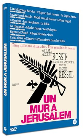 Un mur à jérusalem [FR Import]