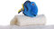 Posh Paws International Disney's Findet Nemo Plüschtier Dory