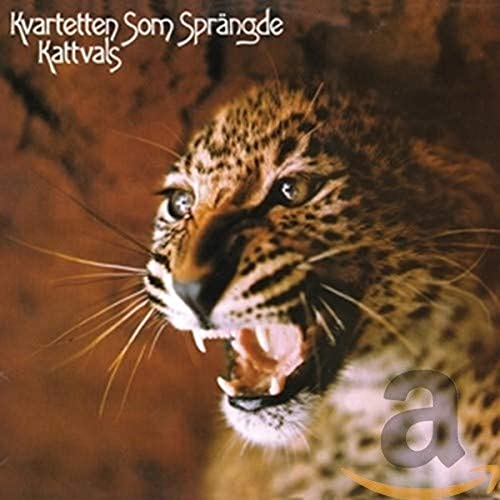 Descriptive Guitar Instrumentals