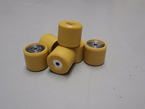 Variatorrollensatz Piaggio Variomatikgewichte, 19x17 mm, 10,0 g, 6 Stück, CM1038015