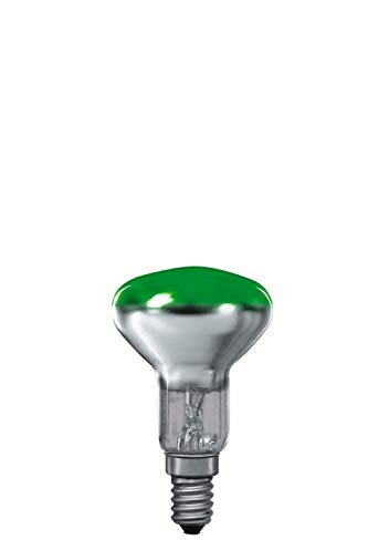 Paulmann 201.23 Reflektor R50 25W E14 Grün