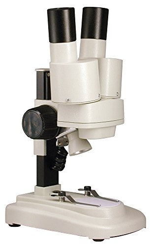 Paralux Lupe/Mikroskop TP Junior, für Kinder, mit LED + Mineralien 60–6230–1