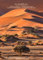 Traumhafter Geburtstagskalender NAMIBIA mit Fotografien der großartigen Landschaften und Wildtiere Namibias, immerwährend (12 Monatsseiten, A4 - 29 x 21cm)