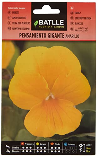 Semillas Batlle Pensamiento Gigante AMARILLO