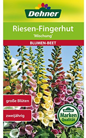Dehner Blumen-Saatgut, Riesen-Fingerhut, Mischung, 5er pack (5 x 0.8 g)