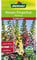 Dehner Blumen-Saatgut, Riesen-Fingerhut, Mischung, 5er pack (5 x 0.8 g)