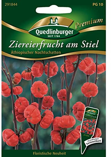 Kiepenkerl Kürbis am Stiel, 1 Tüte Samen