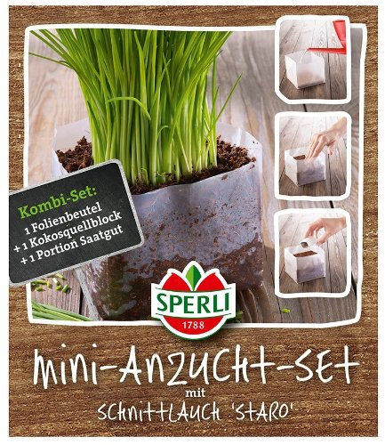 Sperli 84651 Schnittlauch Staro Mini-Anzuchtset (Schnittlauchsamen)