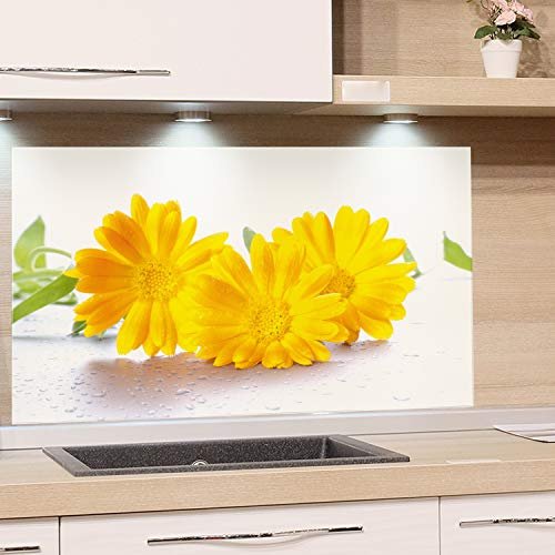 GRAZDesign Küchen Spritzschutz Glas Herd Gasherd, Bild-Motiv Blumen gelb weiß, Glasbild als Küchenrückwand - Küchenspiegel Küche / 100x60cm