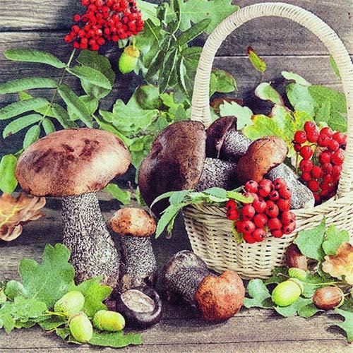 20 Servietten Pilze und Beeren sammeln als Tischdeko für den Herbst 33x33cm